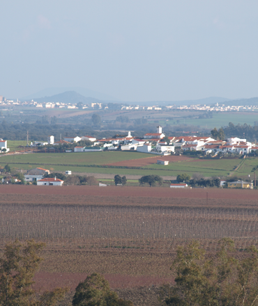 Villareal