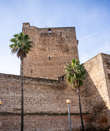 Alcazar y Torre del Homenaje