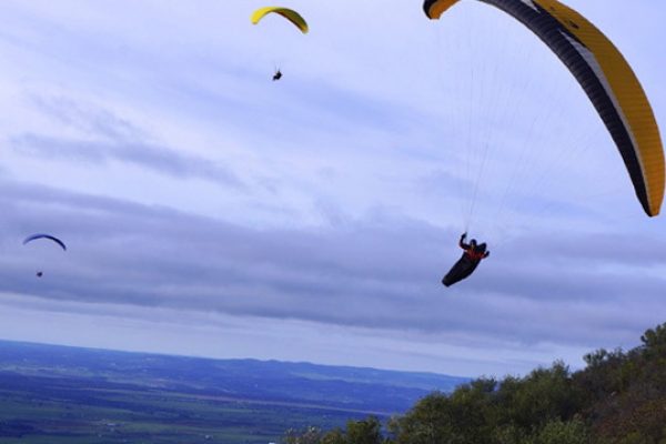 Parapente