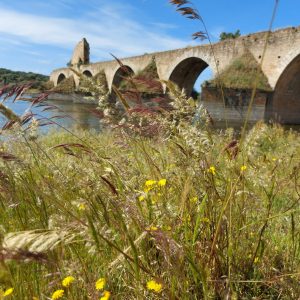 Puente Fortificado de Ajuda