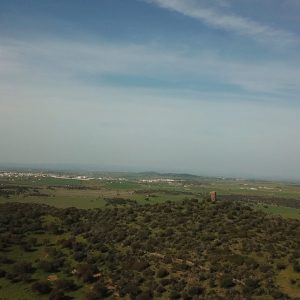 212_dji-0058mov00-00-16-01imagen-fija001