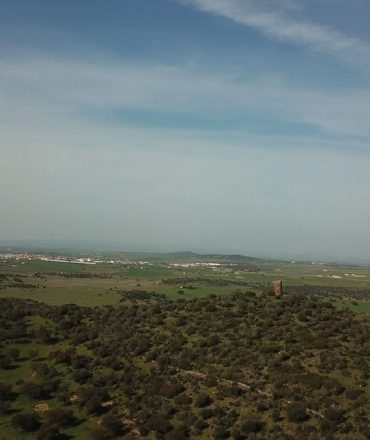 212_dji-0058mov00-00-16-01imagen-fija001