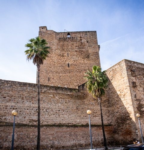 Alcázar y Torre del Homenaje