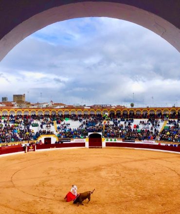 Feria del Toro