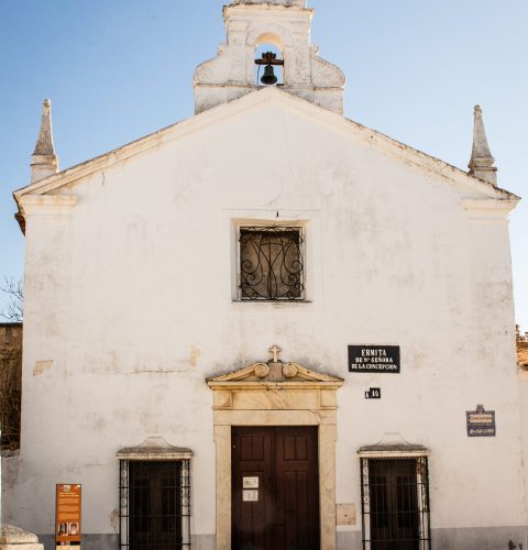ARCHIVO OLIVENZA IMG_8868 051219 Rayanos Magazine