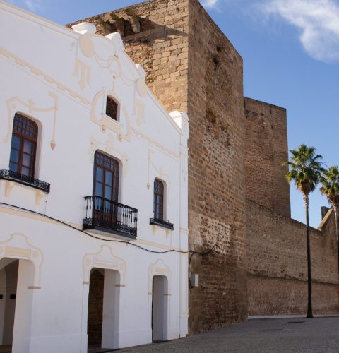 ARCHIVO OLIVENZA IMG_8968 051219 Rayanos Magazine