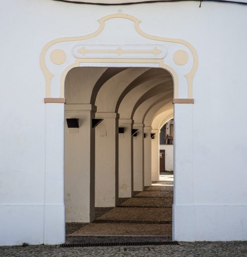 ARCHIVO OLIVENZA IMG_8978 051219 Rayanos Magazine