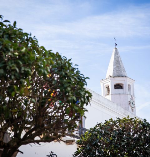 ARCHIVO OLIVENZA IMG_9230 060220 Rayanos Magazine