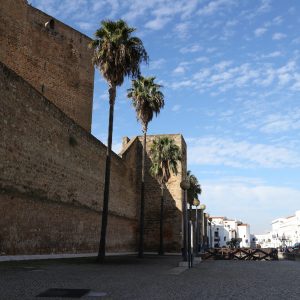Alcázar y Torre del Homenaje