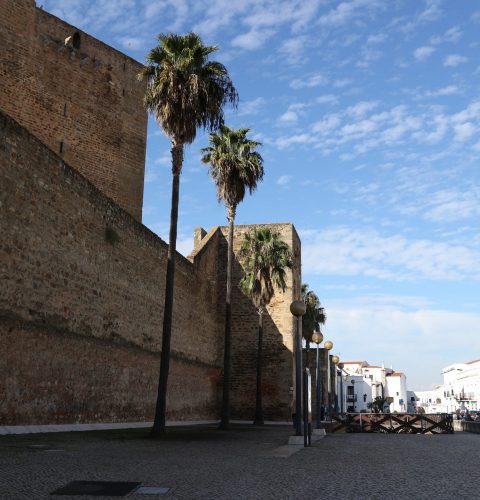 Alcázar y Torre del Homenaje