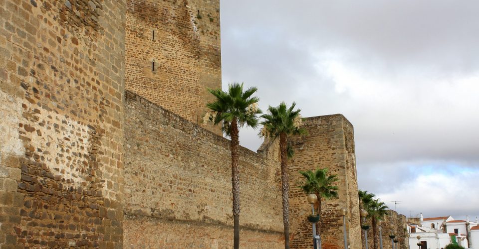 Alcázar y Torre del Homenaje