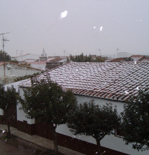 SJNevada2006 tejados